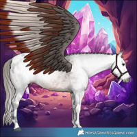 Horse Color:Gray Brown Ice Tobiano Appaloosa 