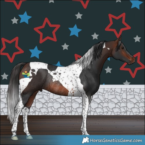Horse Color:Brown Tobiano Rabicano 