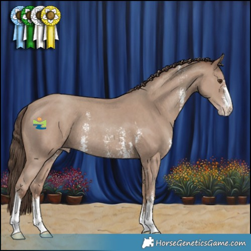 Horse Color:Classic Champagne Sabino Rabicano 