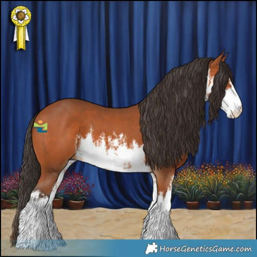 Horse Color:White Spotted Bay 