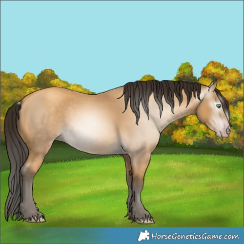 Horse Color:Gray Amber Cream Champagne