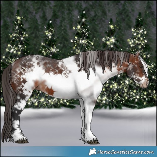 Horse Color:White Spotted Brown Frame Appaloosa Rabicano 