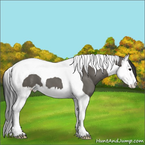 Horse Color:Grullo Splash Tobiano 