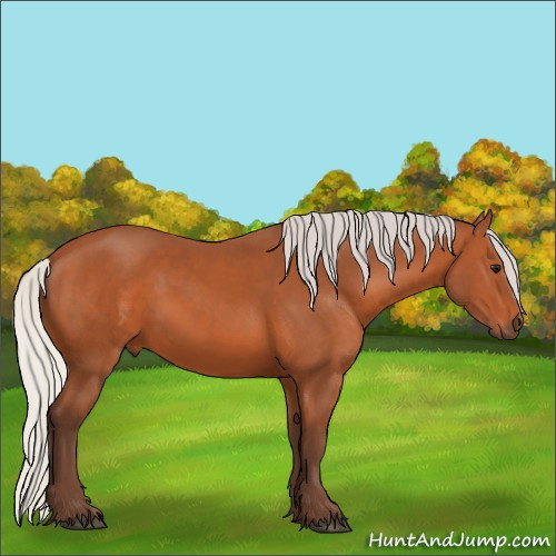 Horse Color:Silver Bay 