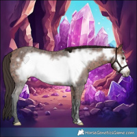 Horse Color:Bay Ice Frame 