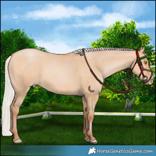 Horse Color:Silver Bay Pearl Dun 