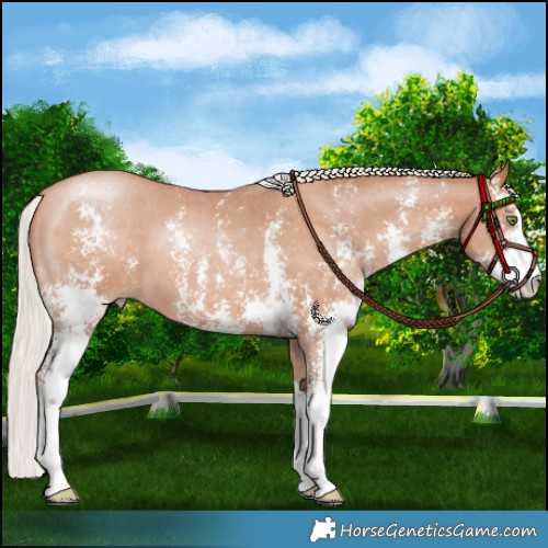 Horse Color:Chocolate Silver Brown Pearl Sabino 
