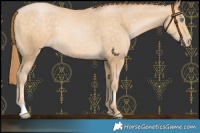 Horse Color:Buckskin Pearl 