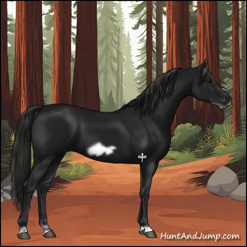 Horse Color:Gray Black Frame 