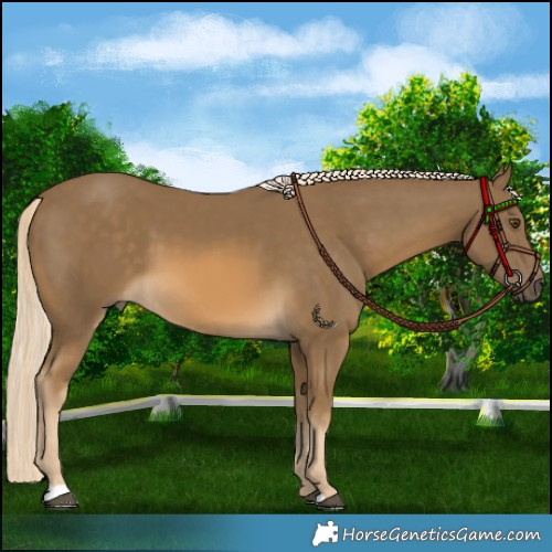 Horse Color:Chocolate Palomino Mushroom 