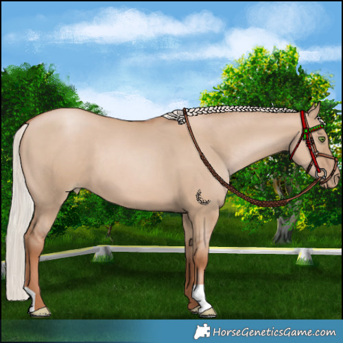 Horse Color:Silver Grullo Pearl