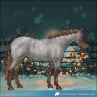 Horse Color:Liver Red Roan 
