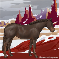 Horse Color:Liver Chestnut Rabicano 