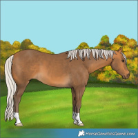 Horse Color:Silver Buckskin