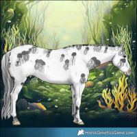 Horse Color:Brown Ice Sabino Splash Rabicano 
