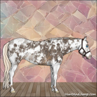 Horse Color:Chocolate Palomino Ice Sabino Splash Rabicano
