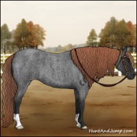 Horse Color:Liver Red Roan 