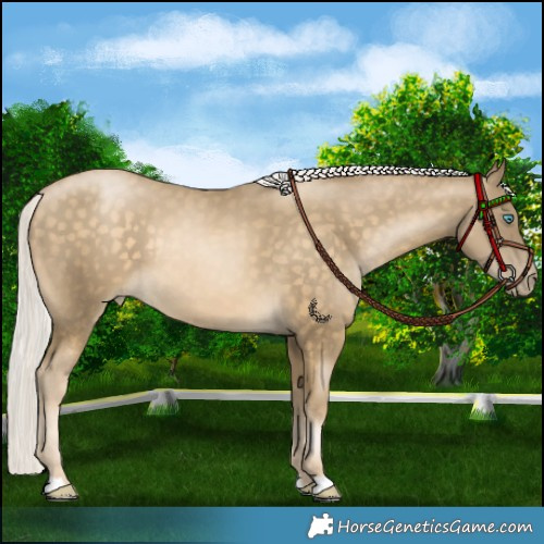 Horse Color:Chocolate Silver Buckskin Pearl Rabicano