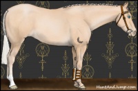 Horse Color:Chocolate Silver Buckskin Pearl 