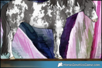 Horse Color:White Spotted Smoky Black Sabino 