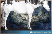 Horse Color:White Spotted Smoky Black Sabino Splash Rabicano 