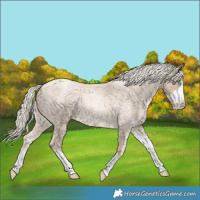 Horse Color:Chocolate Palomino Roan Pearl Sabino 