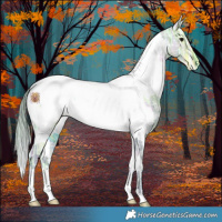 Horse Color:Watercolor White Spotted Buckskin Ice Near Fewspot 