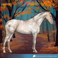 Horse Color:White Spotted Liver Red Dun Pearl 