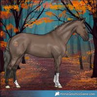 Horse Color:Liver Red Dun Mushroom 