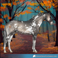 Horse Color:White Spotted Blue Onyx 