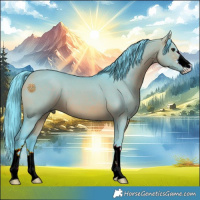 Horse Color:Watercolor Bay Dun 