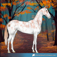 Horse Color:Watercolor Liver Red Dun Sabino 