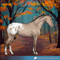 Horse Color:Classic Champagne Dun Varnish