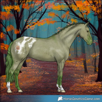 Horse Color:Watercolor Liver Red Dun Appaloosa 
