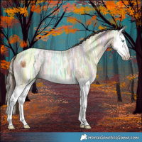 Horse Color:Sable Cream Champagne Ice Dun Splash 