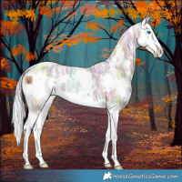 Horse Color:Watercolor White Spotted Silver Classic Champagne Ice Splash