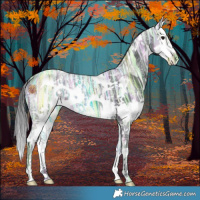 Horse Color:White Spotted Black Ice Splash 