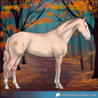 Horse Color:Watercolor Gold Champagne Dun 