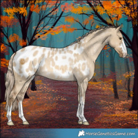 Horse Color:Chocolate Palomino Dun Blanket 
