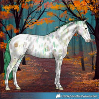 Horse Color:Watercolor Grullo Ice Sabino Near Leopard Brindle
