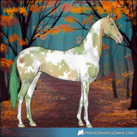 Horse Color:Watercolor White Spotted Sable Cream Champagne 