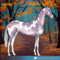 Horse Color:Watercolor White Spotted Brown Onyx