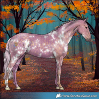 Horse Color:Watercolor White Spotted Silver Black