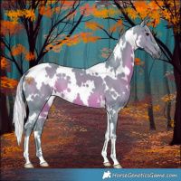 Horse Color:Watercolor White Spotted Silver Black 
