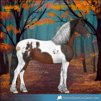 Horse Color:Brown Tobiano Blanket 