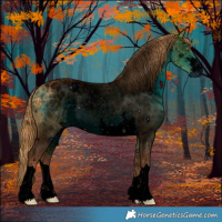 Horse Color:ERROR: UNKNOWN ANOMALY