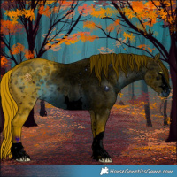Horse Color:ERROR: UNKNOWN ANOMALY