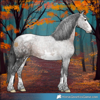 Horse Color:Brown Ice Appaloosa 