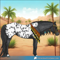 Horse Color:Black Blanket