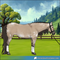 Horse Color:Gray White Spotted Liver Red Dun Ice 